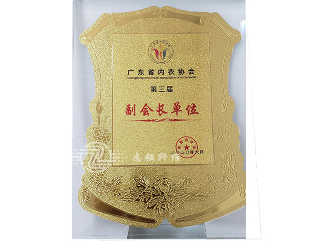 廣東省內衣協會副會長單位